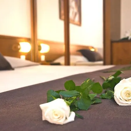 Hotel Odyssia 4*